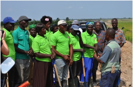 Local residents undergo training on a GADCO nucleus farm.