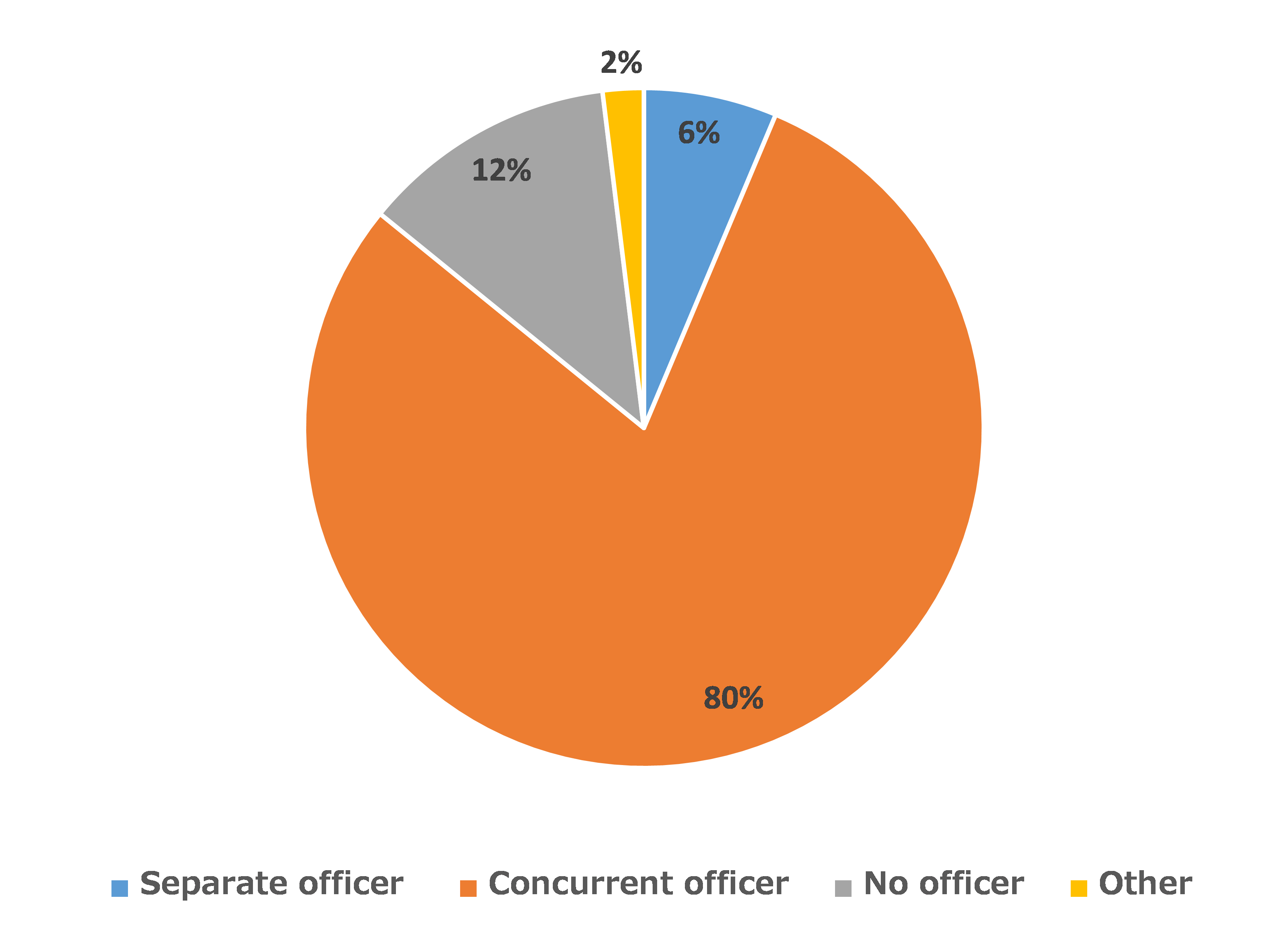 Figure 20. Companies with Executive CSR Officer