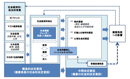 健康の社会的決定要因の向き合い方と課題 | 研究プログラム | 東京財団