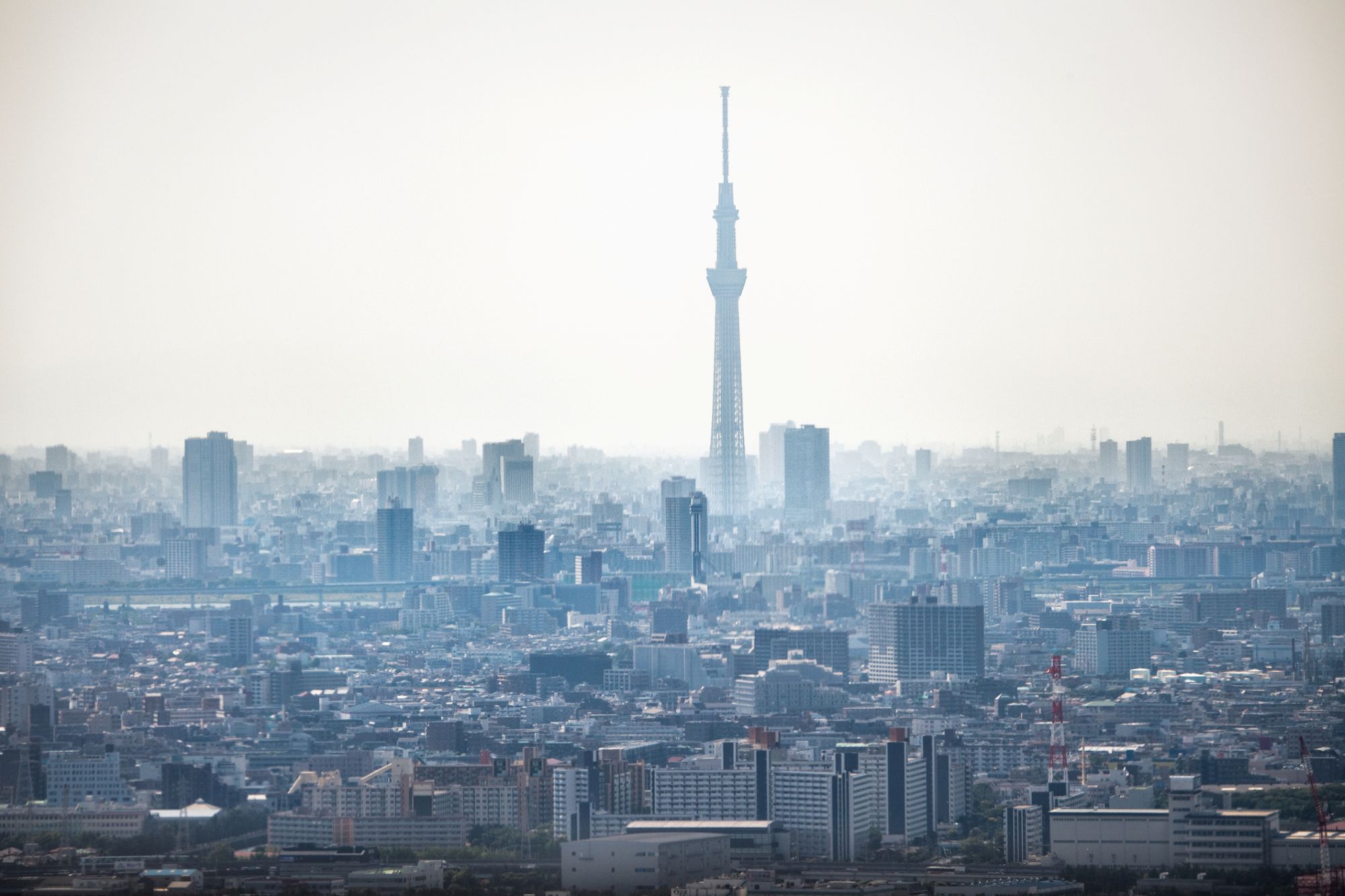 【論考】東京都の「日本人」人口は2021年をピークに既に減少局面か －「東京一極集中」終焉の兆候－