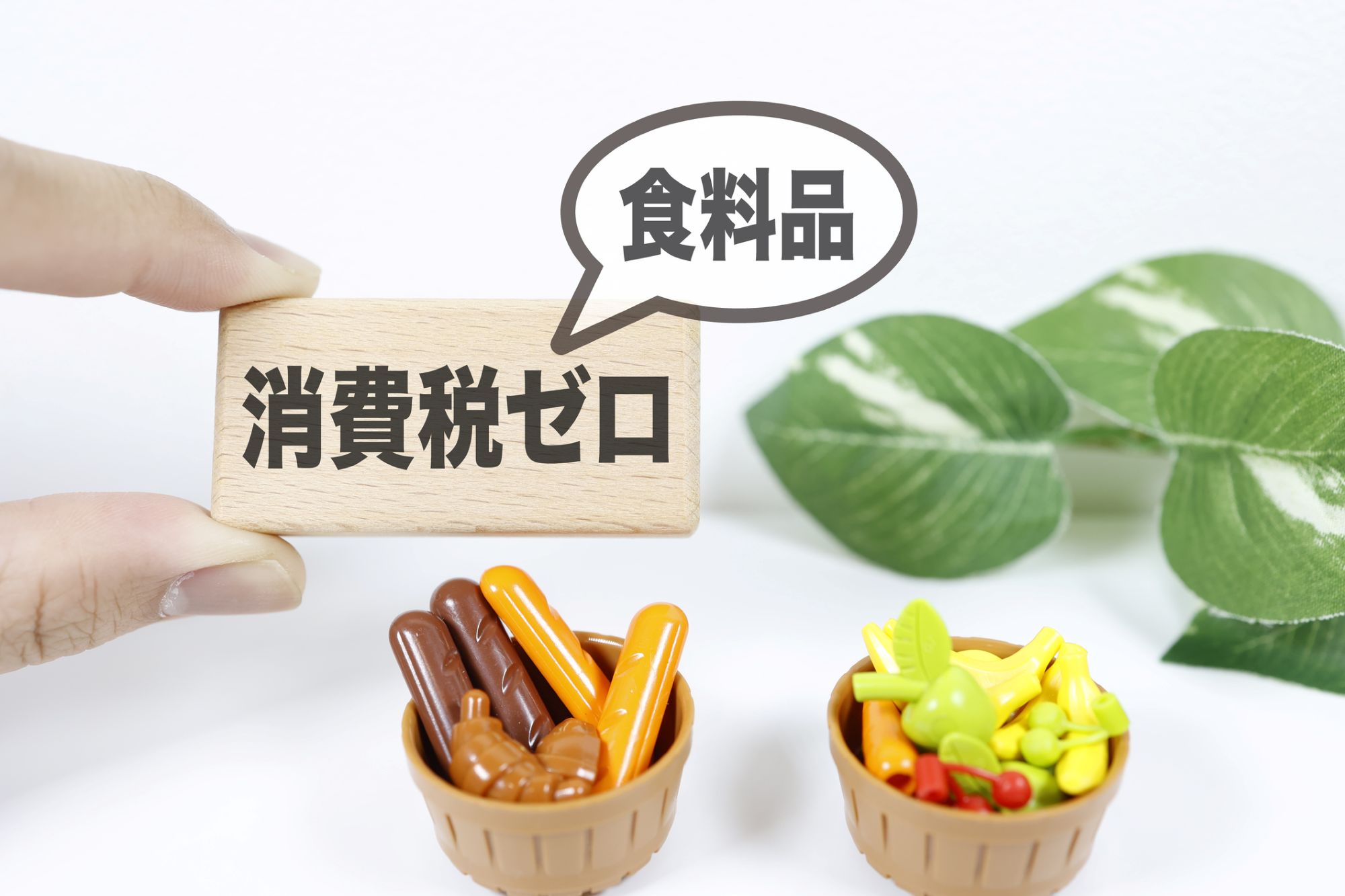 【論考】消費税は血と汗の結晶、歴史を忘れたポピュリズム政治の危うさ―連載コラム「税の交差点」第142回