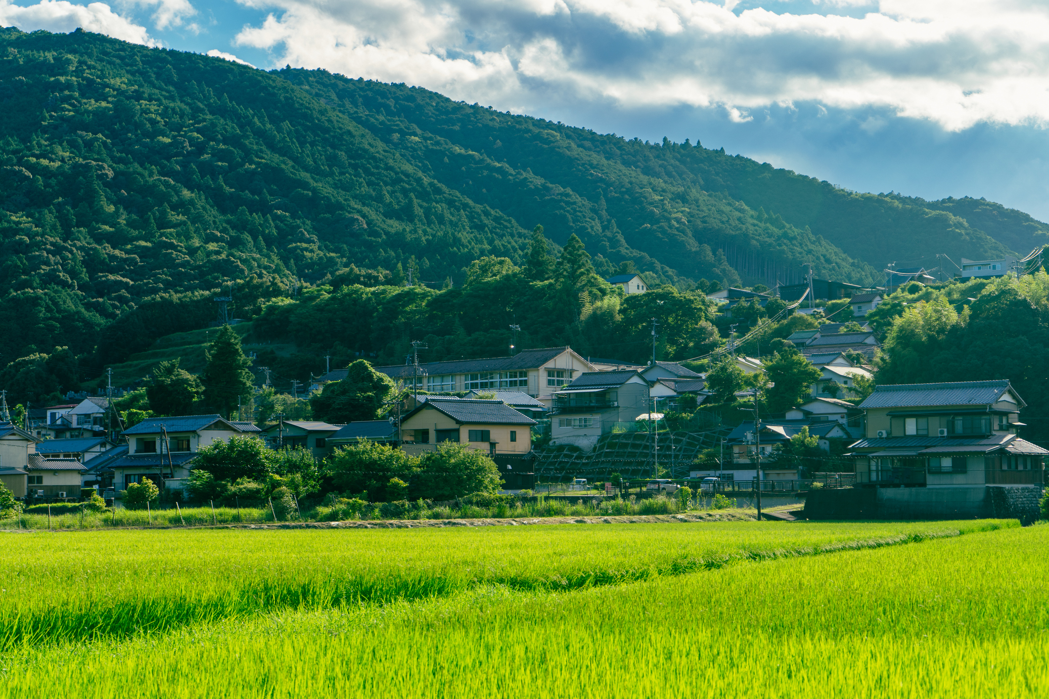 【論考】「何を建てるか」から「誰が維持するか」へ ―景観政策から考える人口減少社会の空間管理―