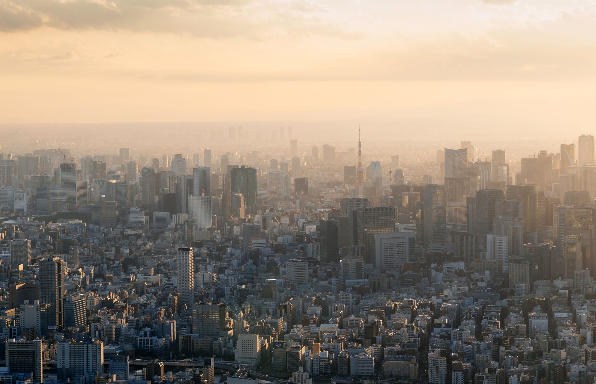 【論考】財源なき減税・歳出拡大は円安・物価高につながる可能性も―「物価水準の財政理論」の為替版から考える財源の意味－
