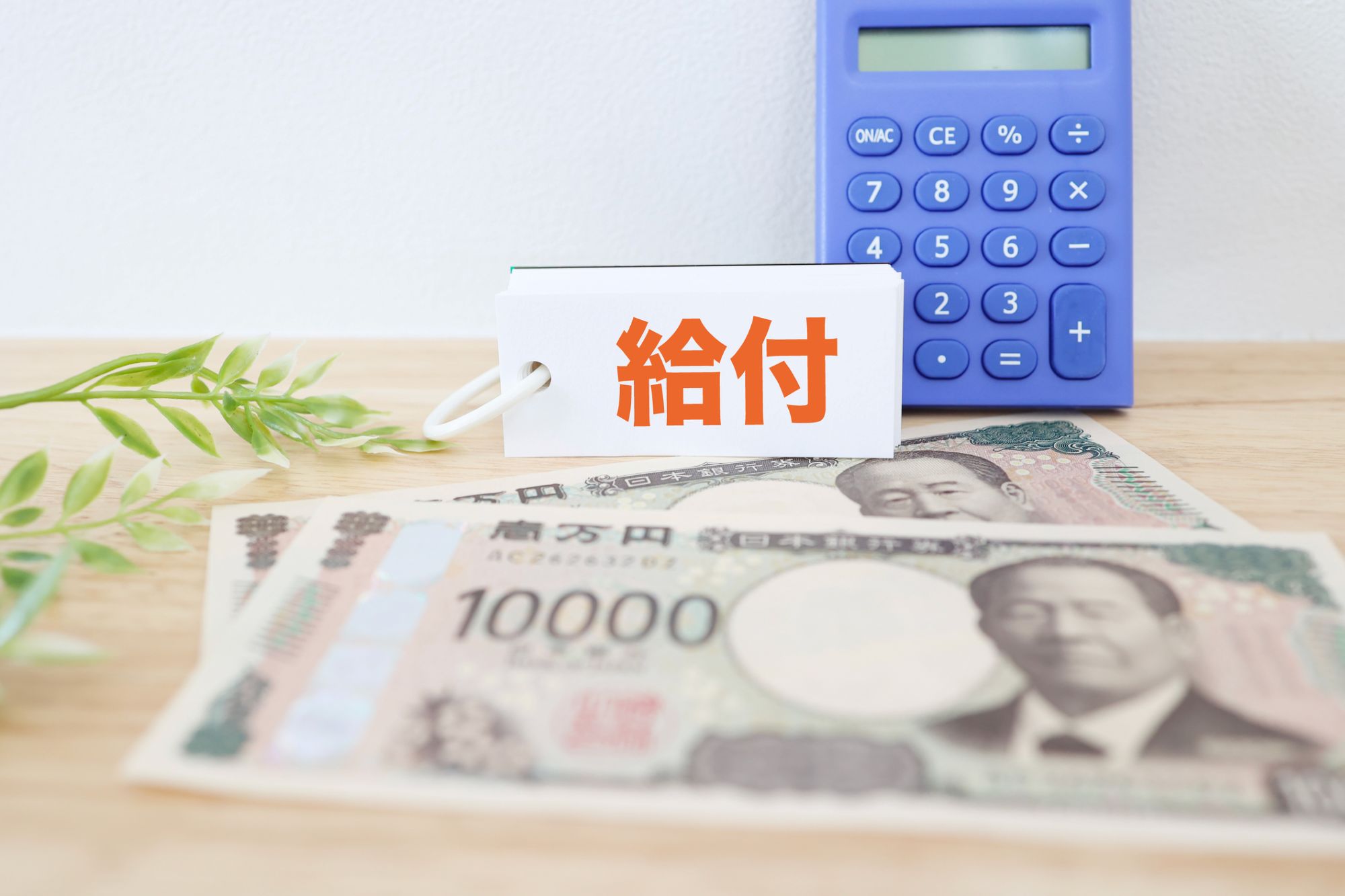 【論考】給付付き税額控除の対象と規模に関する試算（後編）