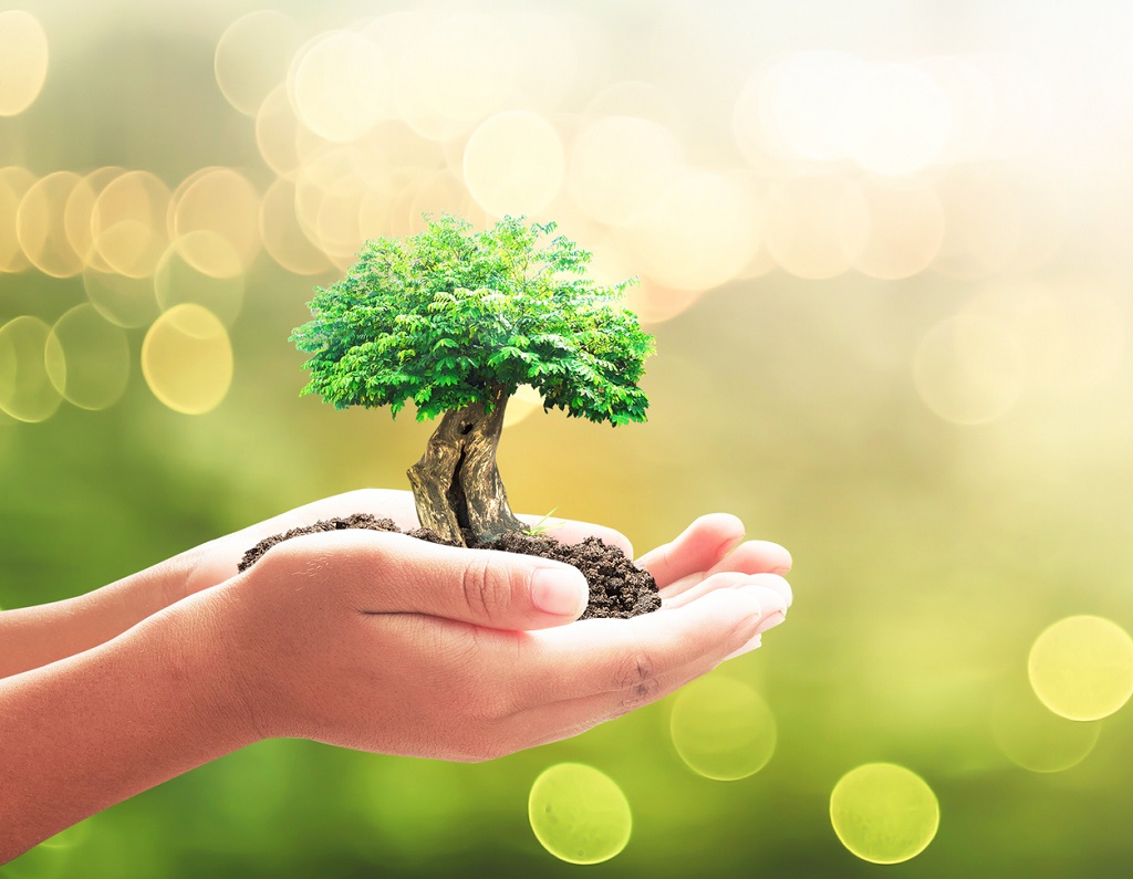 信託による土地管理と昨今の土地をめぐる問題