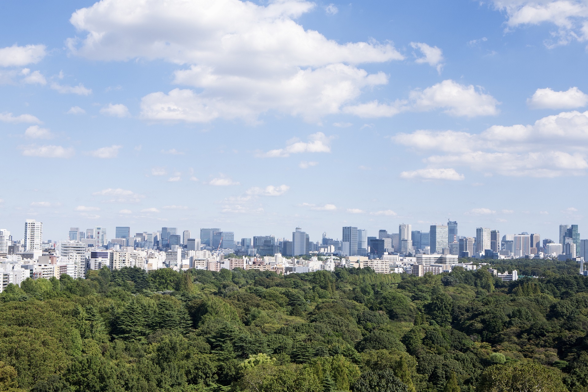 CSR白書2021――国際社会における日本型CSRの位置づけと動向