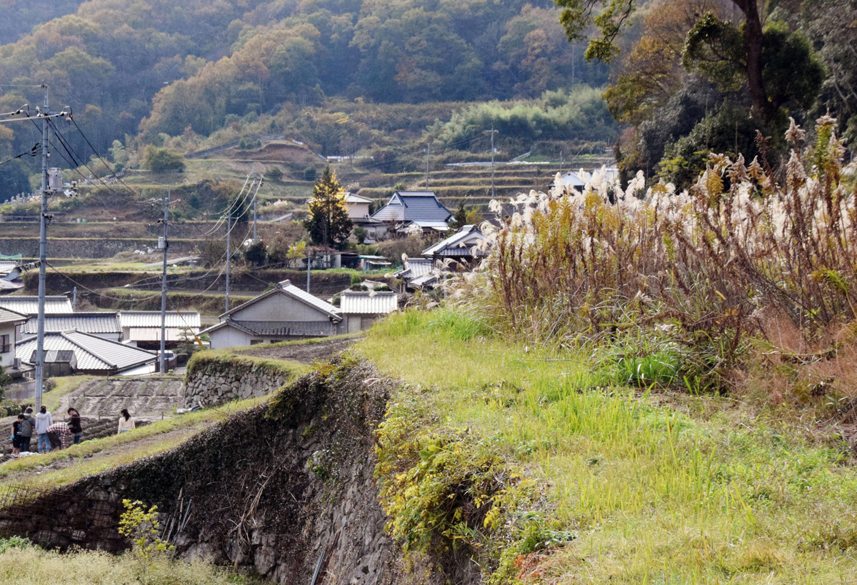 「所有者不明化」問題から見える土地制度の根本課題―人口減少時代に対応した制度構築を―