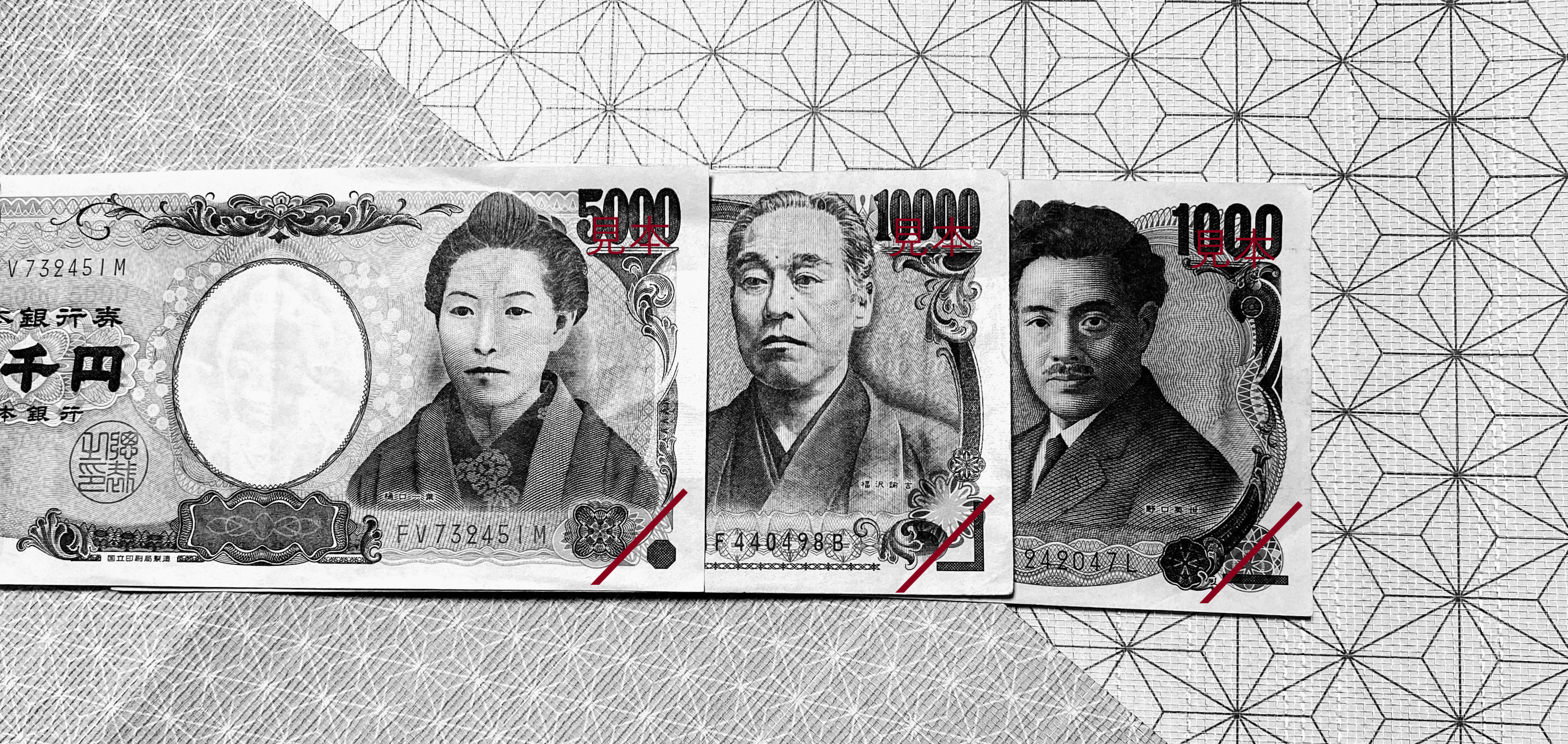 福沢諭吉の感染症コミュニケーション<前編>多様性を含んだ思想のエネルギー