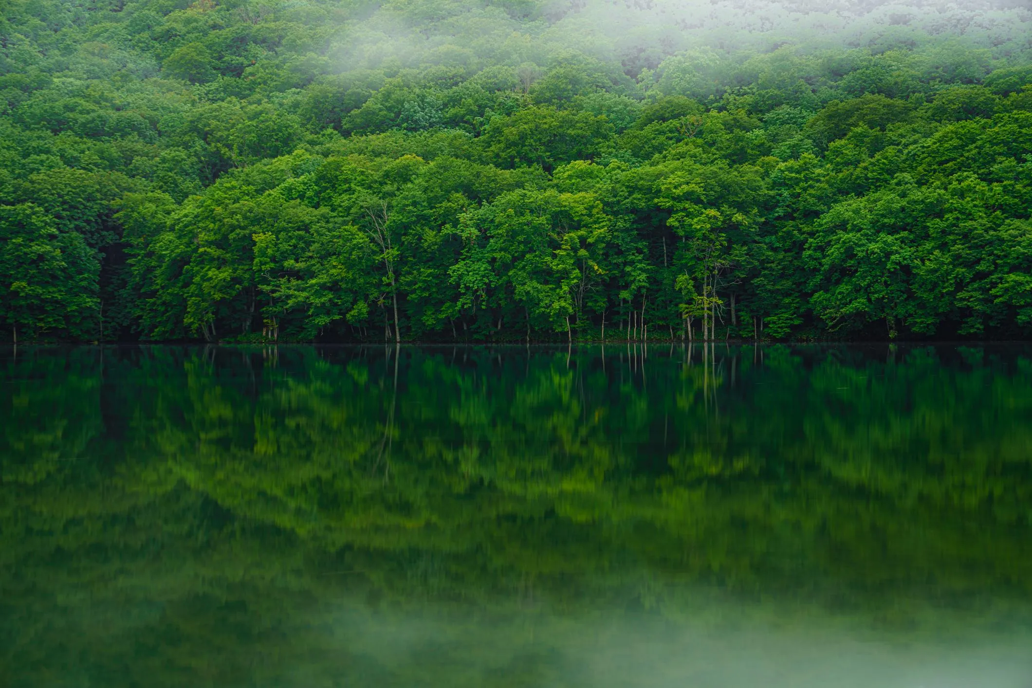 ｢第９回CSR企業調査アンケート｣ご協力のお願い