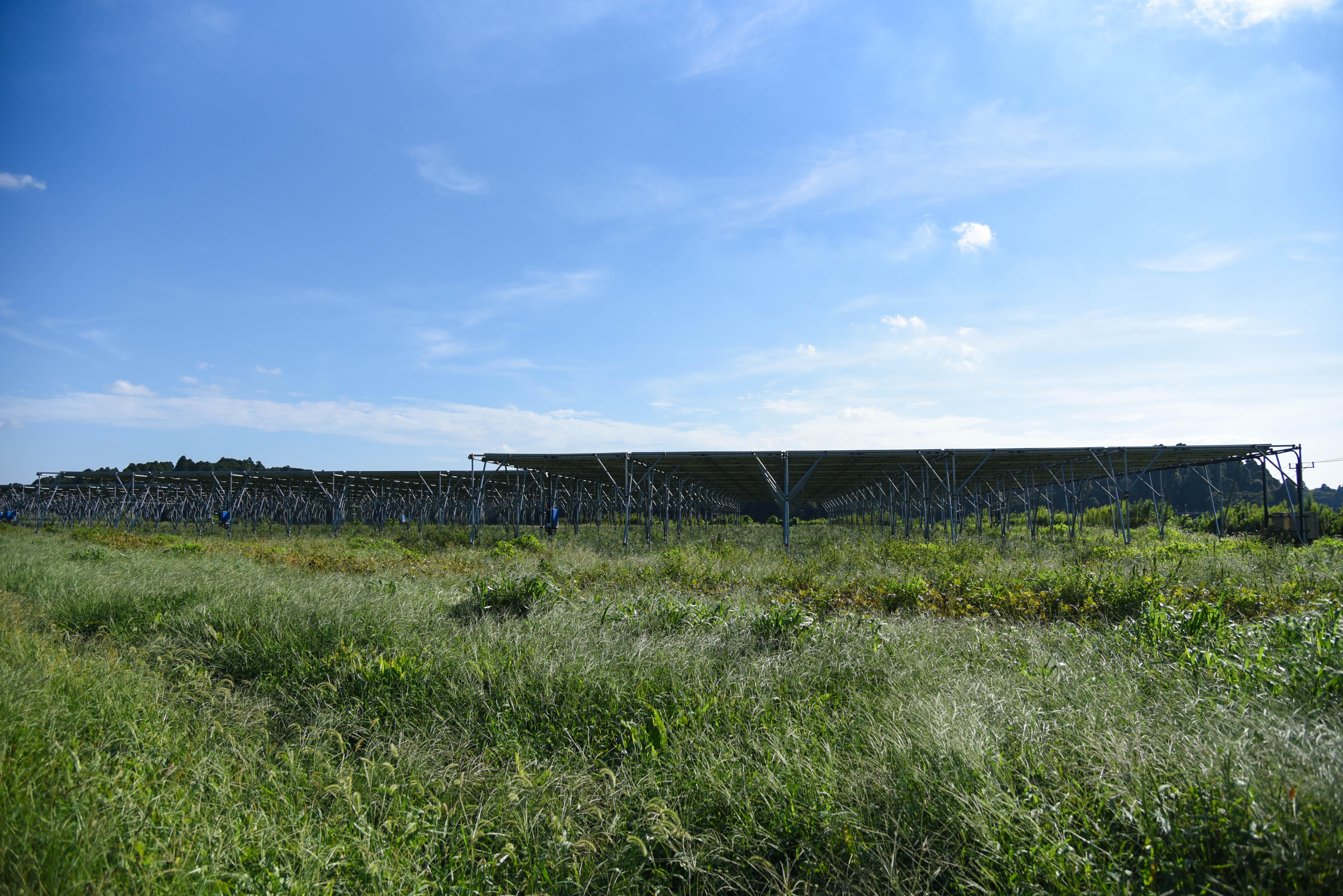 【イベント開催報告】施設見学会「地域密着型の営農型太陽光発電事業‐荒廃農地の活用につながる再生可能エネルギーの事例-」