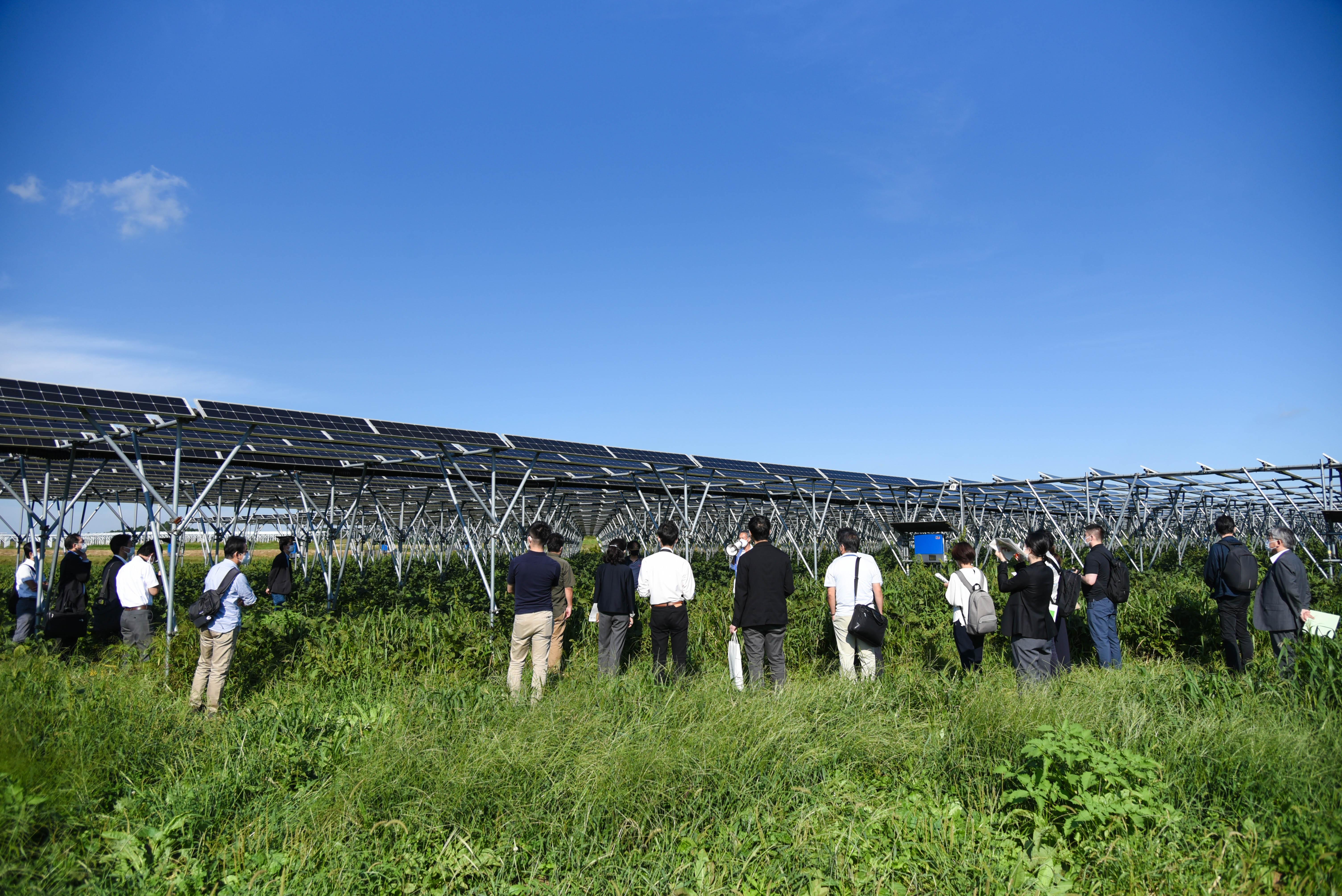 【イベント開催報告】施設見学会「地域密着型の営農型太陽光発電事業‐荒廃農地の活用につながる再生可能エネルギーの事例-」