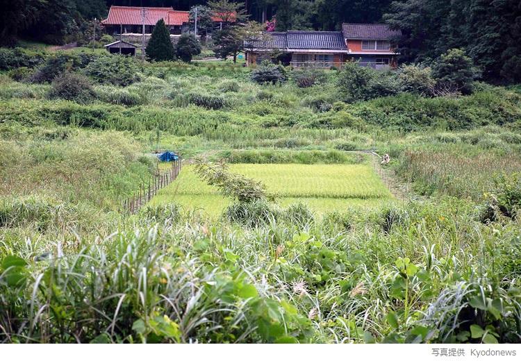 農地集積を阻害する不在地主と相続未登記 研究活動 東京財団政策研究所