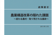 農業構造改革の隠れた課題 ～変わる農村・取り残される農政～