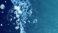 【受付終了】「ブルーエコノミーの推進に向けて　～海洋温度差発電（OTEC）からのレッスン～」東京財団政策研究所オンラインシンポジウム開催