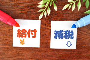 【論考】国民会議の議論、給付付き税額控除は小さく導入し次第に充実を－連載コラム「税の交差点」第139回