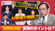 【動画解説】「消費税減税」実現のポイントは？