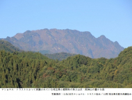 放置土地を持続可能な地域づくり・国づくりに生かす――グリーンインフラ、ナショナル・トラスト、生態系ネットワーク
