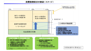 参議院選挙、消費税減税・廃止は国民の支持を得られるのだろうか――連載コラム「税の交差点」第99回
