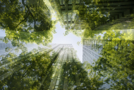 Building a Carbon Neutral Future Through Energy Transition and a Circular Economy 